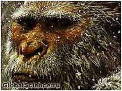 Новые факты о существовании йети 