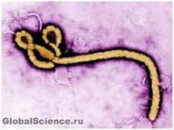 По воздуху передается смертельный вирус