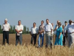 Село обрушила двадцатилетняя экономическая засуха