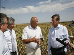 Уже выросла пальмовая ветвь для губернатора Бровко? Уже выросла пальмовая ветвь для губернатора Бровко?