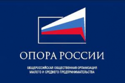 В Волгограде «ОПОРа России» собирает подписи в расчете на опору В Волгограде «ОПОРа России» собирает подписи в расчете на опору