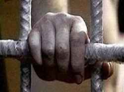 Ни дня без «посадок» Ни дня без «посадок»