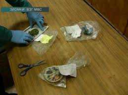 Губит людей «травушка-муравушка»