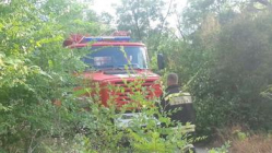 Лесники Волгоградской области переведены на круглосуточный режим работы Лесники Волгоградской области переведены на круглосуточный режим работы