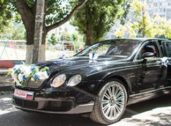В Волгограде участники свадебного кортежа устроили стрельбу В Волгограде участники свадебного кортежа устроили стрельбу