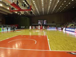 Волгоградский «Красный Октябрь» обыграл чешский «Нимбург»