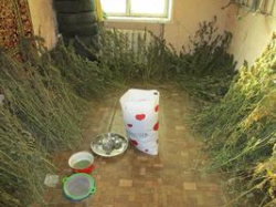 Волгоградец хранил дома 5 килограммов марихуаны Волгоградец хранил дома 5 килограммов марихуаны