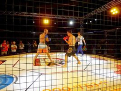 В Волгограде в день России пройдет грандиозный спортивный праздник 