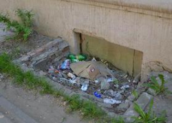 В Волгограде не задались субботники по пятницам
