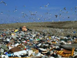 Облкомприроды ждет от волгоградцев фото мусора 