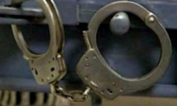 Волгоградец пытался скормить труп убитого друга собакам 