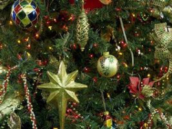 Перед жителями Волгограда предстанет «Черный Водяной Дракон»