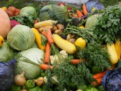 Овощеводы Волгоградской области начали массовую реализацию местной продукции Овощеводы Волгоградской области начали массовую реализацию местной продукции