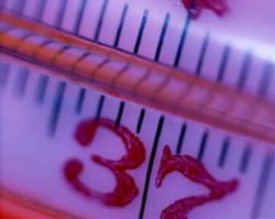 В Волгограде растет количество заболевших ОРВИ