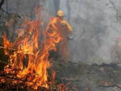 В Волгограде открыт печальный счет лесным пожарам В Волгограде открыт печальный счет лесным пожарам
