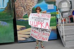 В Волгограде защитницу животных сопроводили в полицию В Волгограде защитницу животных сопроводили в полицию