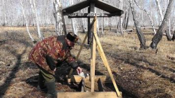 В Волгоградской области обустроят подкормочные площадки для животных В Волгоградской области обустроят подкормочные площадки для животных