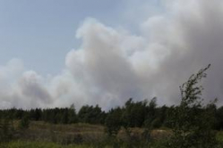 В Волгоградской области похолодает до 7 градусов тепла ночью