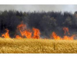 На севере Волгоградской области сохраняется чрезвычайная пожароопасность На севере Волгоградской области сохраняется чрезвычайная пожароопасность