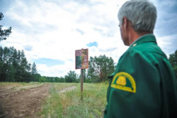 Пожары уничтожили 20 гектаров леса в Волгоградской области