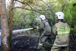 В Волгоградской области для тушения пожаров организована мобильная группа В Волгоградской области для тушения пожаров организована мобильная группа