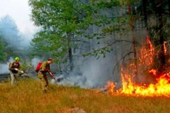 В Волгоградской области сохраняется повышенная пожароопасность В Волгоградской области сохраняется повышенная пожароопасность