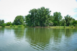 В ерики Волго-Ахтубинской поймы закачали уже 10,6 млн кубометров воды