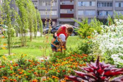 В Волгоградской области объявлен конкурс проектов благоустройства территорий В Волгоградской области объявлен конкурс проектов благоустройства территорий