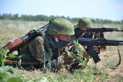 Всего 12 волгоградских «срочников» попали в элитные войска