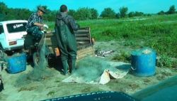 Под Волгоградом поймали браконьеров с 300 кг рыбы Под Волгоградом поймали браконьеров с 300 кг рыбы