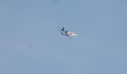 В Волгоградском небе «Русские витязи» уже творят чудеса