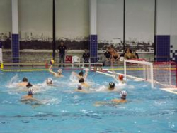 Сборная России победитель турнира  Gvakharia's Cup