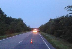 В Волгоградской области на трассе нашли тело мертвого мужчины