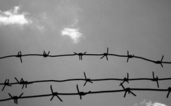 Волгоградка уже восьмой день держит голодовку в СИЗО