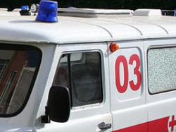 Декоративная собачка зацепилась веком за пирсинг на животе волгоградки