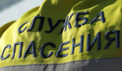 В Волгограде мальчик, спасая щенов, упал в канал теплотрассы В Волгограде мальчик, спасая щенов, упал в канал теплотрассы