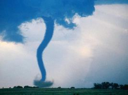 Идет перестройка климата планеты