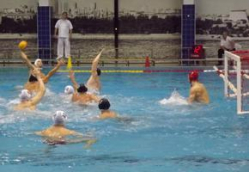 Мужской «Спартак-Волгоград» одержал три победы в четвертом туре