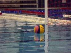 Юноши волгоградского «Спартака» вышли в финальный раунд чемпионата России