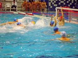 «Спартак-Волгоград» стартует в Чемпионате России 2015 – 2016 10 сентября