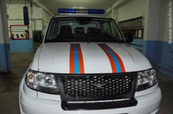 В Волгограде бойцовская собака держала в страхе весь подъезд В Волгограде бойцовская собака держала в страхе весь подъезд
