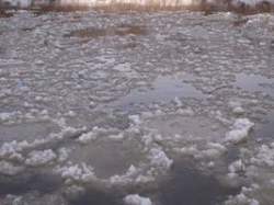 В Центральном районе Волгограда возобновили подачу воды В Центральном районе Волгограда возобновили подачу воды