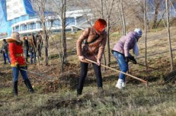 Власти обещают очистить Волгоград от грязи и мусора к 26 апреля Власти обещают очистить Волгоград от грязи и мусора к 26 апреля