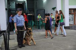Расслабьтесь, фанаты, на стадион можно идти без паспорта