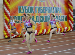 На «Кубке губернатора Волгоградской области» разделят миллион