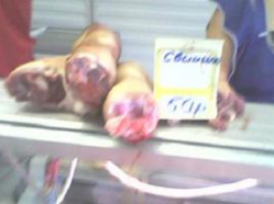 Сокрытие заболевания свиньи африканской чумой приравняют к терроризму Сокрытие заболевания свиньи африканской чумой приравняют к терроризму