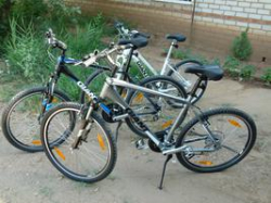 Для велотуристов в Волго-Ахтубинской пойме оборудуют «зеленую стоянку»