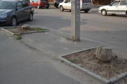 В Волгограде виновных в незаконных рубках наказывают задним числом