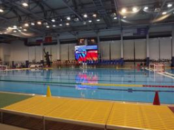 Весомый вклад волгоградцев в победу сборной