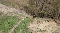 Дурно пахнущая история: в Волгограде жидкие отходы сливают прямо в Волгу